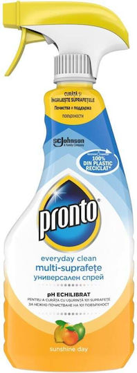 Pronto Allzweckreiniger Spray für Windows 500ml
