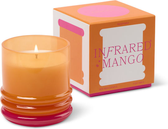 Paddywax Αρωματικό Κερί Σόγιας σε Βάζο με Άρωμα Πορτοκάλι 198gr