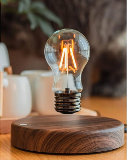 Lumină Decorativă