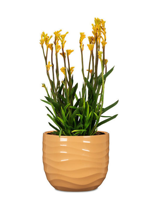 Scheurich Ceramic Yellow Plant Pot
