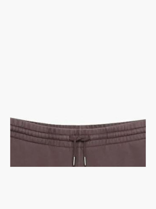 Superdry Ovin Bermude Bărbați Maro