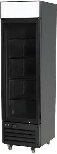 Dynamic Ψυγείο Αναψυκτικών 410lt Υ199.8xΠ290xΒ70cm