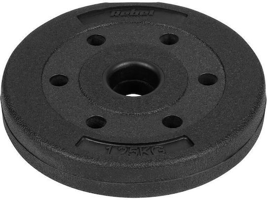 Rebel Set Plăci Metalice Pentru Antrenamentul De Forță 14 Bucăți Greutate Totală 30kg