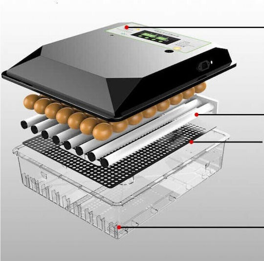 Automatic Egg Incubator 60 Eggs