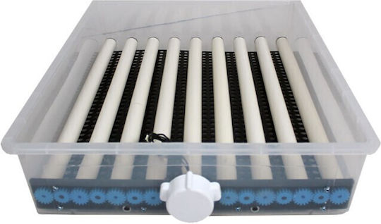 Automatic Egg Incubator 60 Eggs
