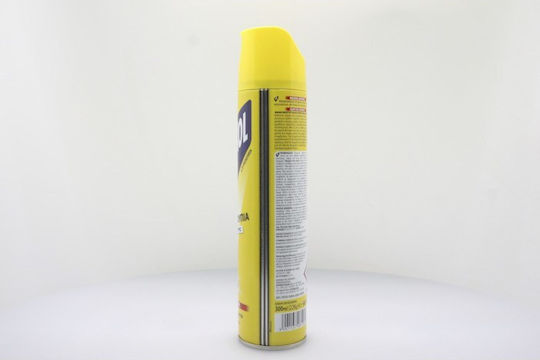 Aroxol Εντομοκτόνο Spray για Κουνούπια / Μύγες 300ml