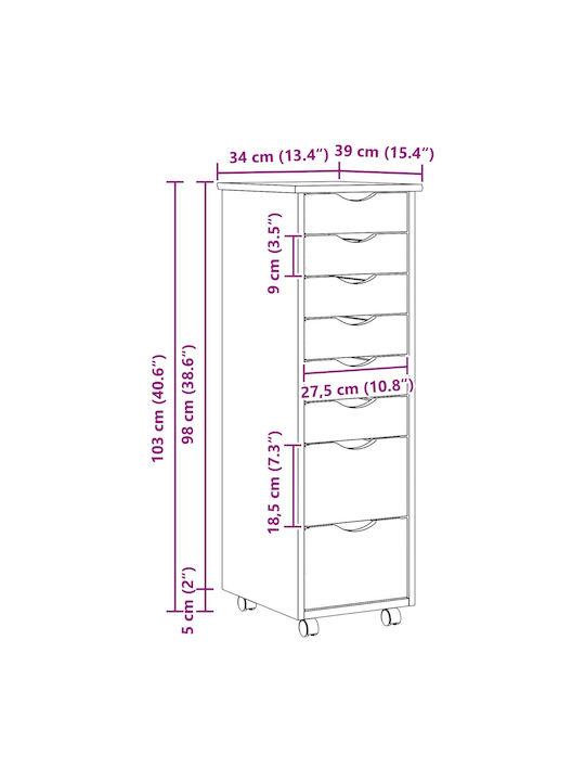 Schublade Büro Transparent Varnish 34x39x103cm