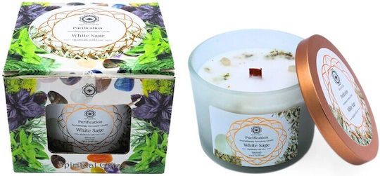 Green Tree Candle Company Soja Kerze in Gefäß Grüne 256gr