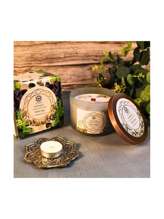 Green Tree Candle Company Κερί Σόγιας σε Βάζο Πράσινο 256gr