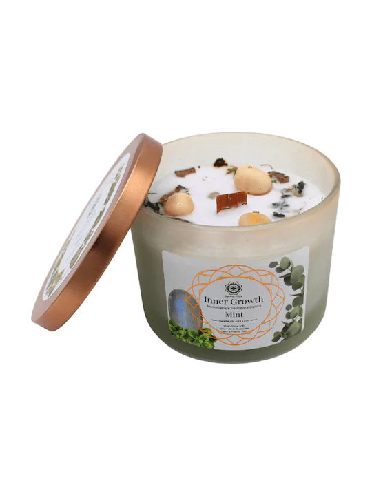 Green Tree Candle Company Aromatic Soy Candle in Green Jar 256g