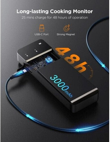 Govee Ασύρματο Ψηφιακό Θερμόμετρο BBQ με Ακίδα και Bluetooth