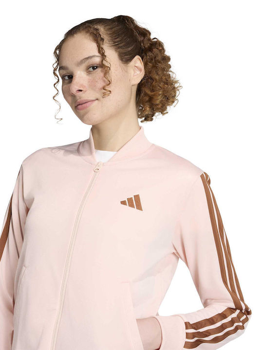 Sweatpants Set Pink