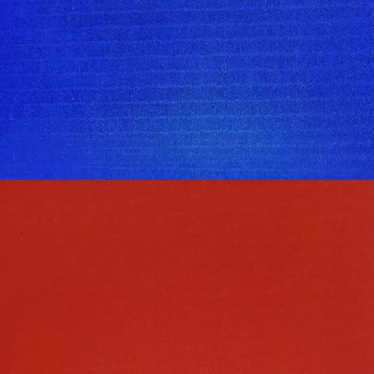 Olympus Sport Gym Equipment Flooring Double Sided Red/Blue 100x100x2cm 1 Piece