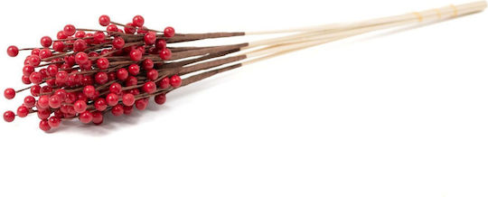 Getrocknete Blumen Rote Beeren Stiele Höhe 50-60 cm Getrocknete Blumen Rote Beeren Stiele Höhe 50-60 cm