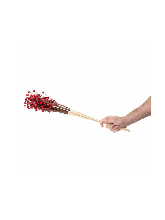 Getrocknete Blumen Rote Beeren Stiele Höhe 50-60 cm