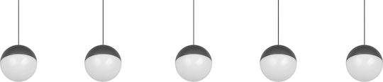 Trio Lighting Senta Gray Ceiling Light