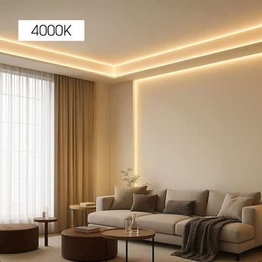 Vivalux LED Strip 24V Natural White Light 5m COB Type
