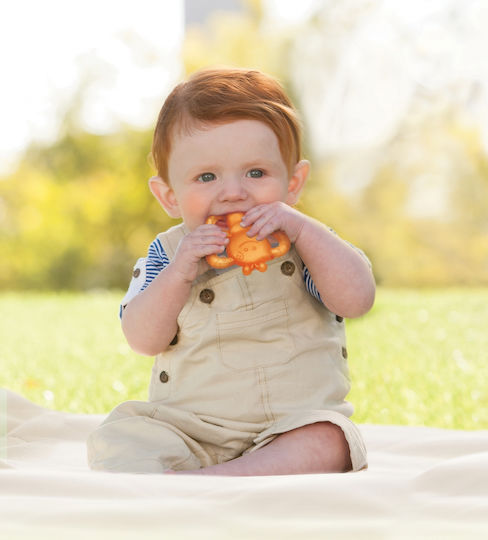 Infantino Garden Pals Teething Ring with Gel Made of Silicone for 3 m+ 2 Pieces