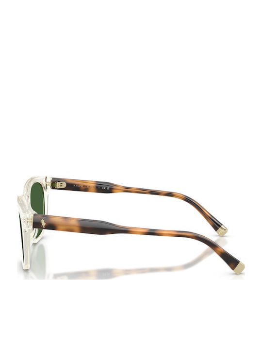 Polo Men's Sunglasses with Transparent Horn-Rimmed Frame and Transparent Lens 635771