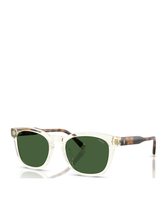 Polo Men's Sunglasses with Transparent Horn-Rimmed Frame and Transparent Lens 635771