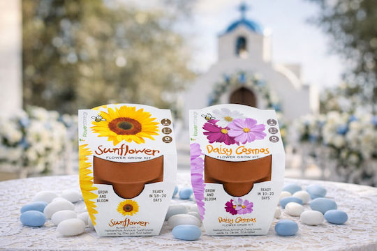Подарък За Кръщене Grow Kit – Слънчоглед Маргаритка Космос Екологичен