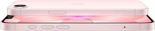 Apple iPhone 17e (8/256GB) Soft Pink Pre-order