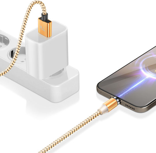 Avizar 3-in-1 Magnetic Cable Usb-c Lightning Micro-usb To Usb-a 1m Gold