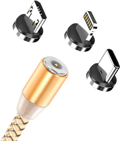 Avizar 3-in-1 Magnetic Cable Usb-c Lightning Micro-usb To Usb-a 1m Gold