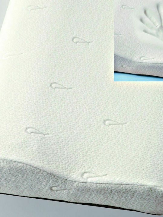 Palamaiki Orthopedic Aloe Vera Μαξιλάρι Ύπνου Memory Foam Ανατομικό 50x70cm