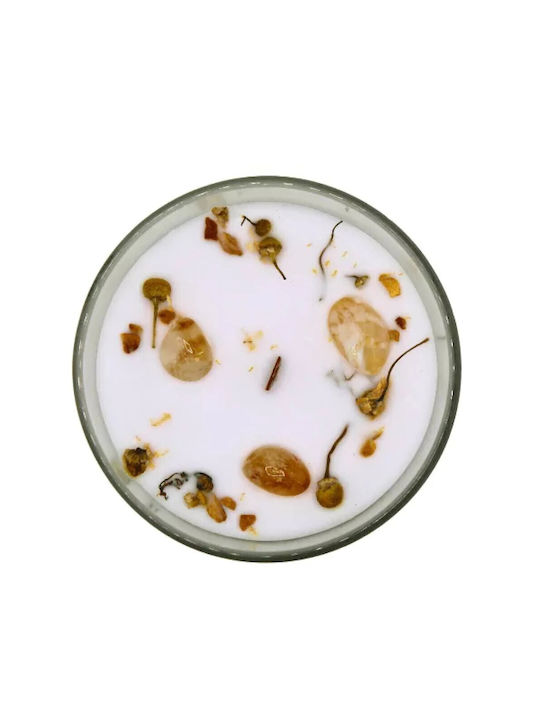 Green Tree Candle Company Κερί Σόγιας σε Βάζο Πράσινο 256gr