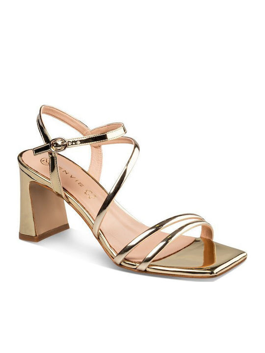Envie Shoes
