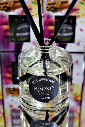 Raumdüfte Reed Diffusoren Kürbis-Gewürz 120ml