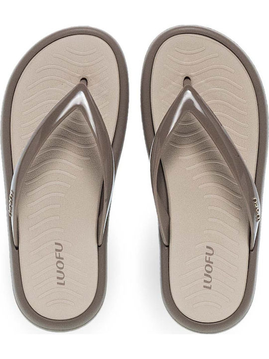 Parex