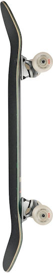 Globe Cruiserboard Complete Shortboard Black