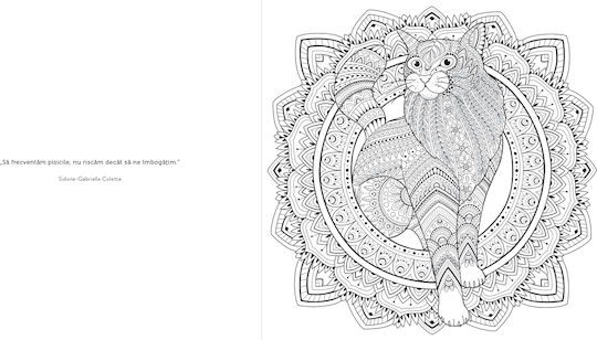 My Mandalas Cats – Coloring Book Relaxation 12+