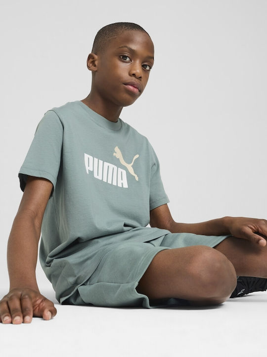 PUMA