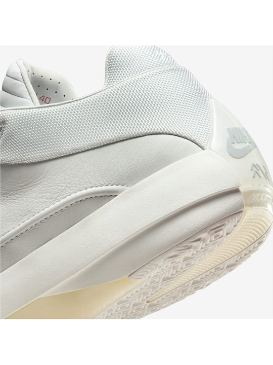 Air  40 Wolf Grey Low Basketball Shoes Photon Dust Flint Grey Wolf Grey