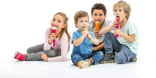 Lekue Formă Pentru Înghețată / Ice Lolly Din Silicon