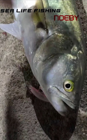 Noeby Изкуствена Примамка Малка Рибка (Minnow) 6.5гр 04