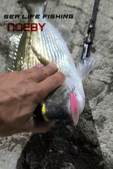 Noeby Künstliche Köder Fisch (Minnow) 6,5g 05