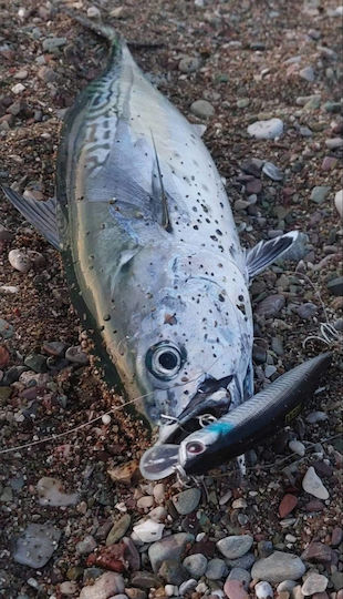 Noeby Τεχνητό Δόλωμα 23gr Χρώμα 178