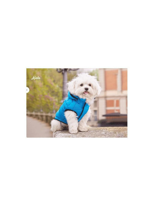 Camon Dog Coat Waterproof Hooded Blue With Back Length 33 cm