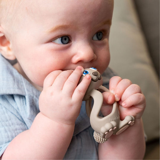 Brush Baby Teething Relief for 0 m+