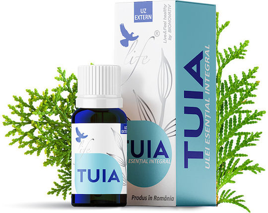 Thuja Essential Oil 10ml