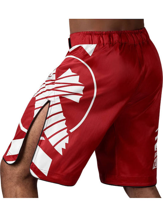 Hayabusa Icon Fightshorts MMA Shorts Red