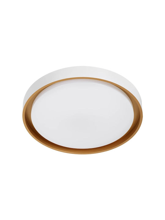 kelvo Barchetta Ceiling Mount Light 48cm White with Integrated LED