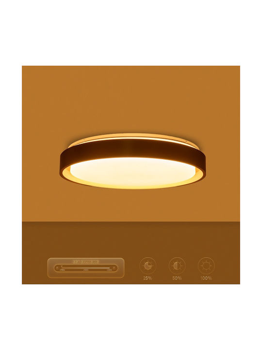 kelvo Barchetta Plafonieră de Tavan 48 cm Aurie cu LED Integrat