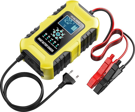 Foxsur Car Battery Charger 12/24V