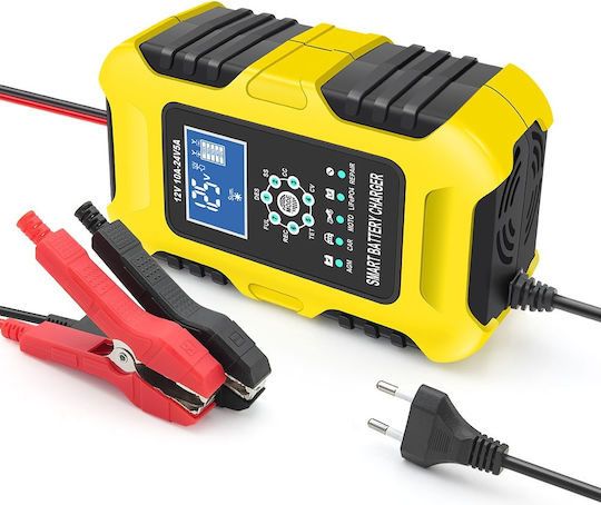 Foxsur Car Battery Charger 12/24V