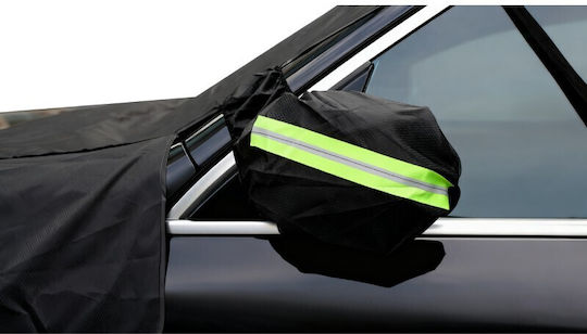 Autoline 259x114см.